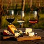 Fenton Herriott Vineyards